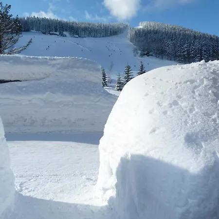 Πανσιόν Hollmann Harrachov