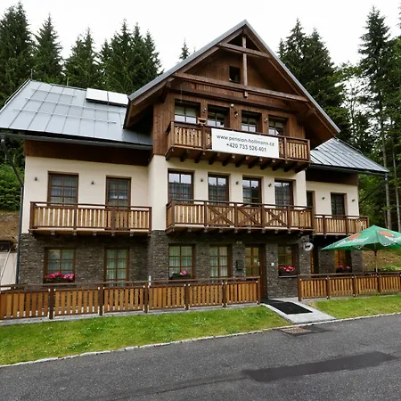Hollmann 3*