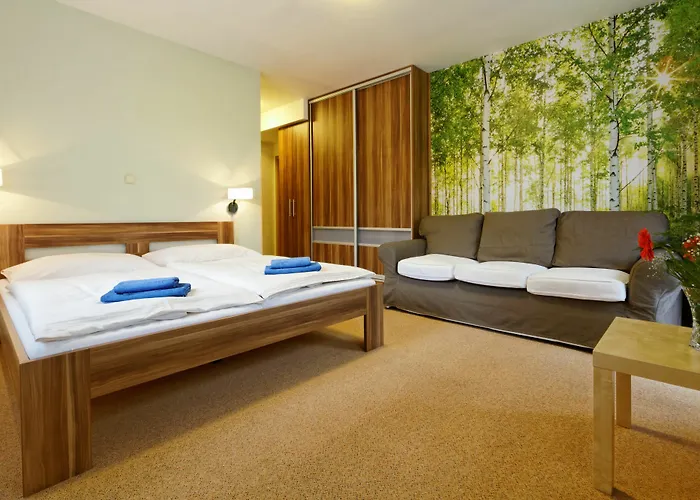 Hollmann Guest house 3*